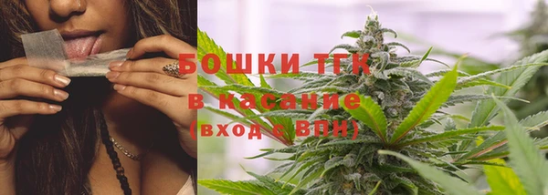 сатива Балахна