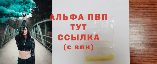 сатива Балахна