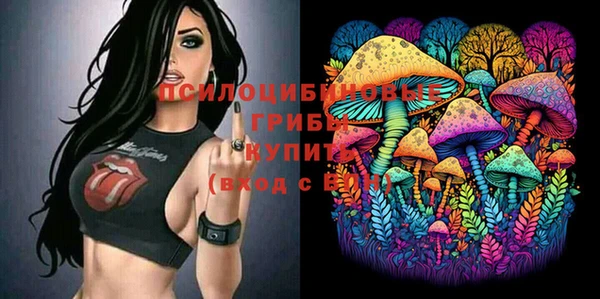 Альфа ПВП Баксан